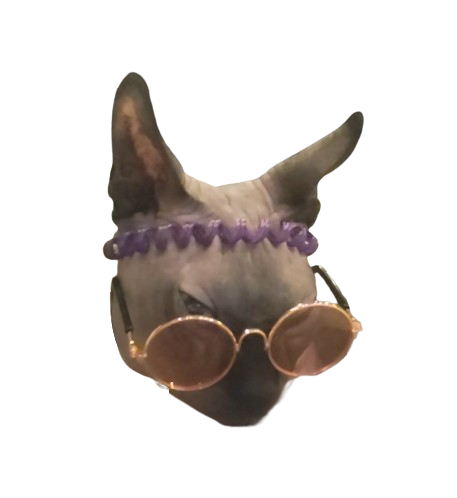 Tête de chat à cliquer